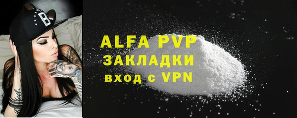 шишки Няндома