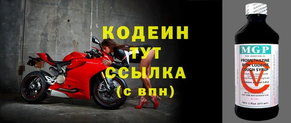 шишки Няндома