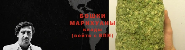 шишки Няндома
