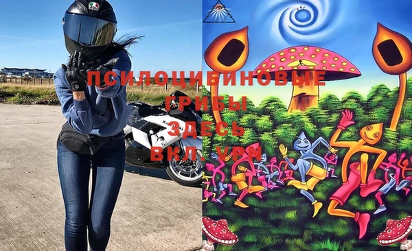 ПСИЛОЦИБИНОВЫЕ ГРИБЫ Нягань