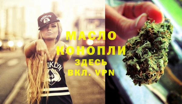 шишки Няндома