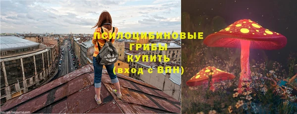 шишки Няндома