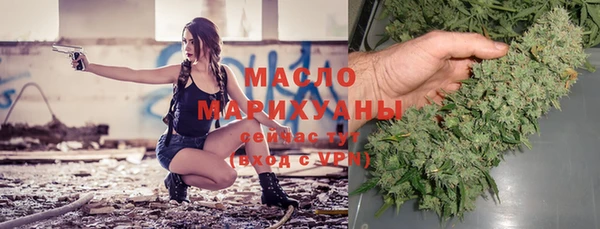 шишки Няндома