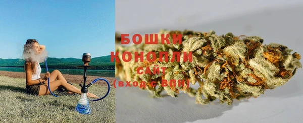 2c-b Осинники