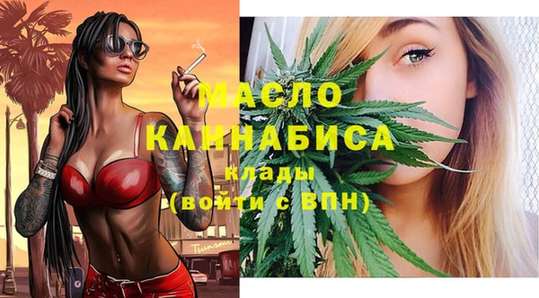 шишки Няндома