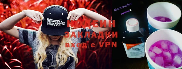 шишки Няндома