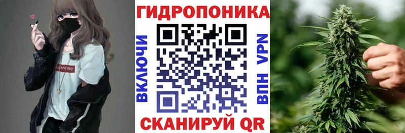 сколько стоит  Кадников  Бошки Шишки марихуана 